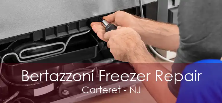 Bertazzoni Freezer Repair Carteret - NJ
