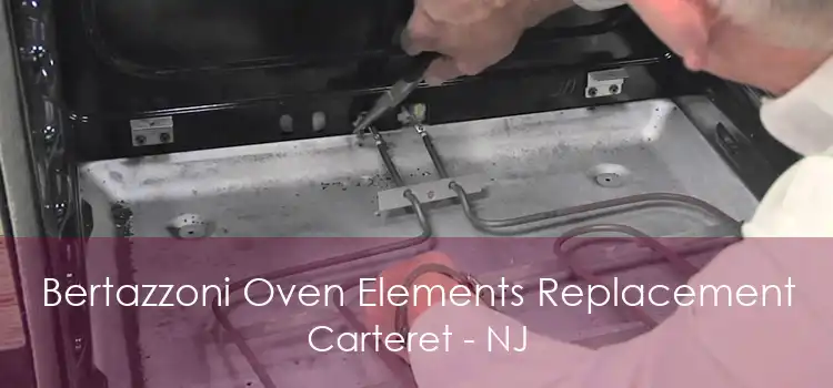 Bertazzoni Oven Elements Replacement Carteret - NJ