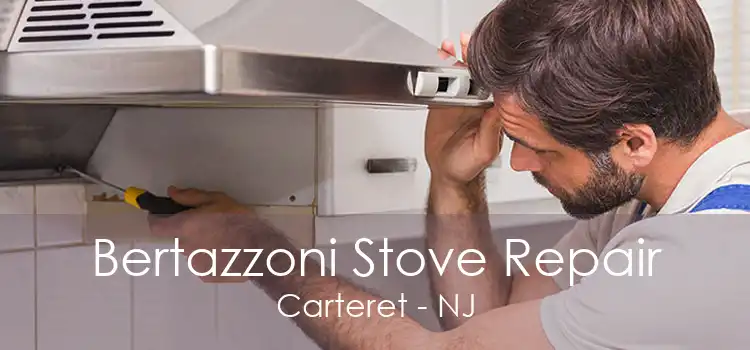 Bertazzoni Stove Repair Carteret - NJ