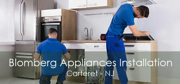 Blomberg Appliances Installation Carteret - NJ