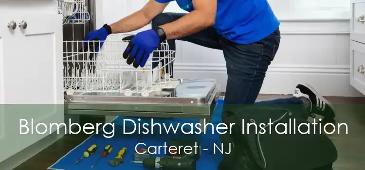Blomberg Dishwasher Installation Carteret - NJ