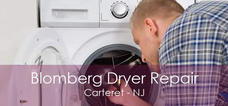 Blomberg Dryer Repair Carteret - NJ