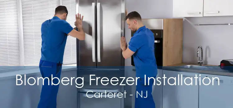 Blomberg Freezer Installation Carteret - NJ