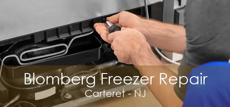 Blomberg Freezer Repair Carteret - NJ
