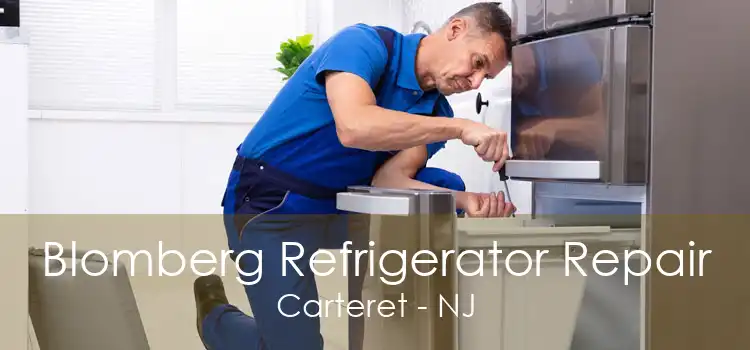 Blomberg Refrigerator Repair Carteret - NJ