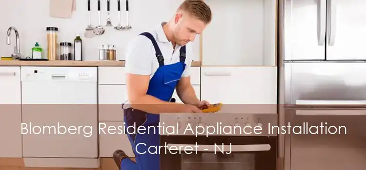 Blomberg Residential Appliance Installation Carteret - NJ