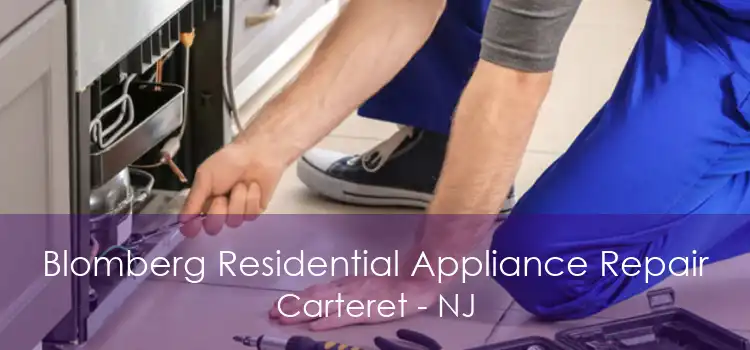 Blomberg Residential Appliance Repair Carteret - NJ