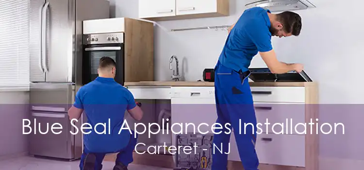 Blue Seal Appliances Installation Carteret - NJ