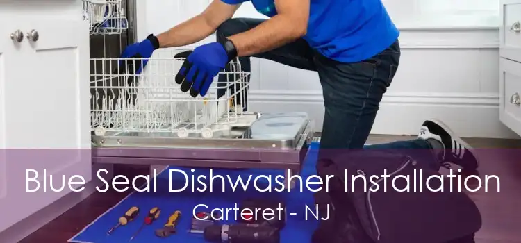 Blue Seal Dishwasher Installation Carteret - NJ