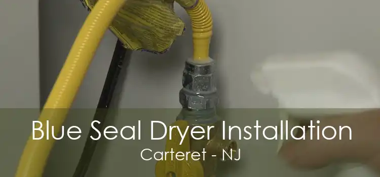 Blue Seal Dryer Installation Carteret - NJ