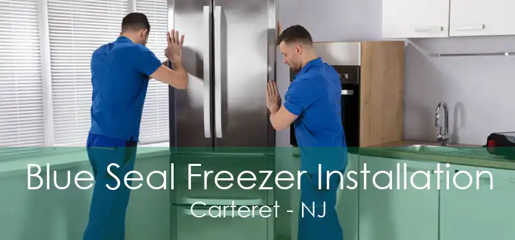 Blue Seal Freezer Installation Carteret - NJ