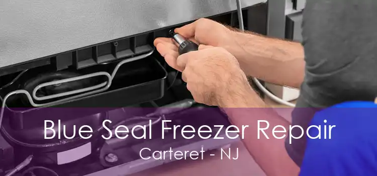 Blue Seal Freezer Repair Carteret - NJ