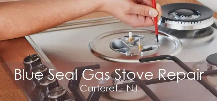 Blue Seal Gas Stove Repair Carteret - NJ