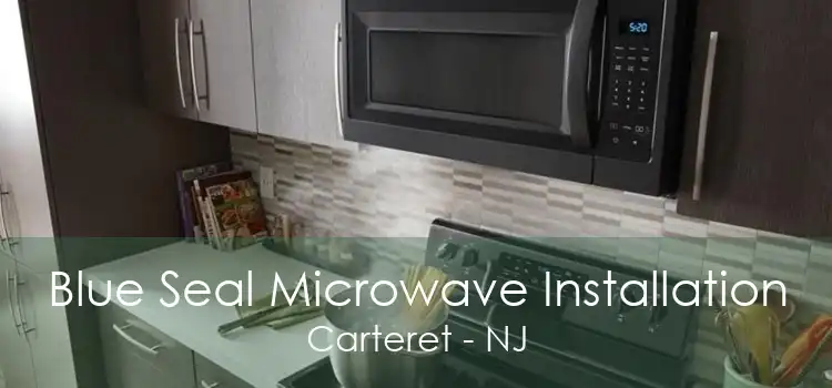 Blue Seal Microwave Installation Carteret - NJ