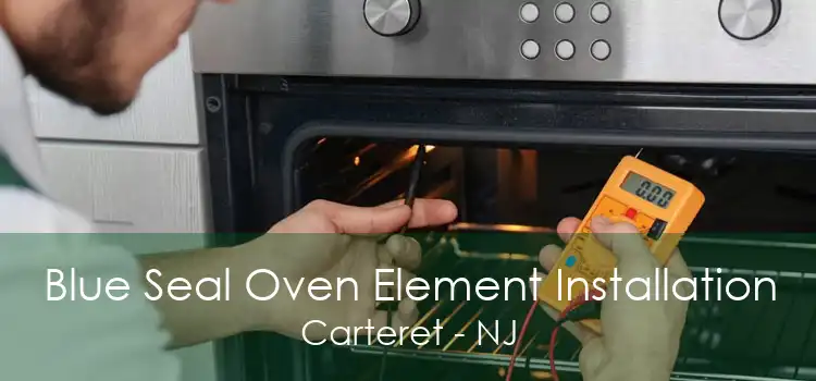 Blue Seal Oven Element Installation Carteret - NJ