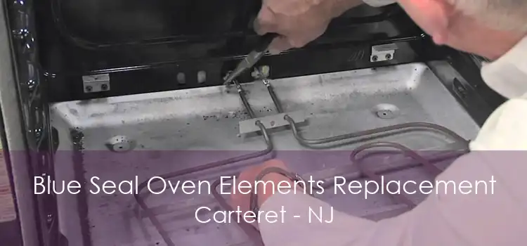Blue Seal Oven Elements Replacement Carteret - NJ