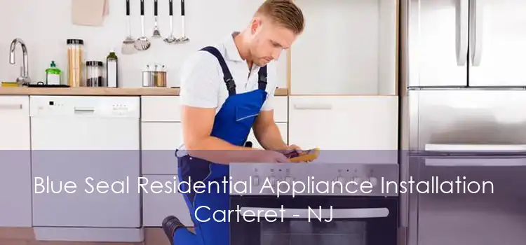 Blue Seal Residential Appliance Installation Carteret - NJ