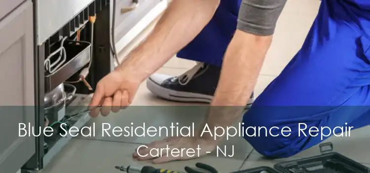 Blue Seal Residential Appliance Repair Carteret - NJ