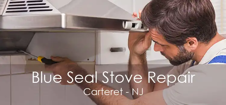 Blue Seal Stove Repair Carteret - NJ