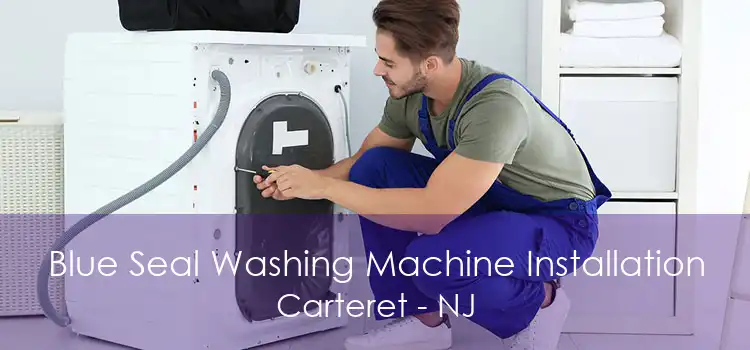 Blue Seal Washing Machine Installation Carteret - NJ