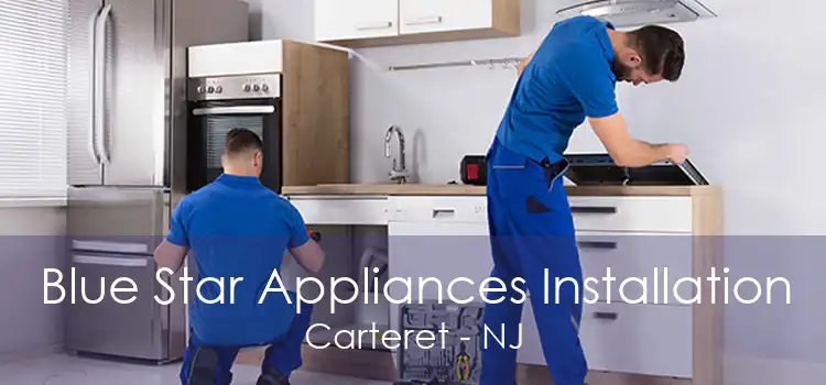 Blue Star Appliances Installation Carteret - NJ