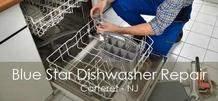 Blue Star Dishwasher Repair Carteret - NJ