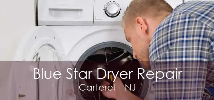 Blue Star Dryer Repair Carteret - NJ