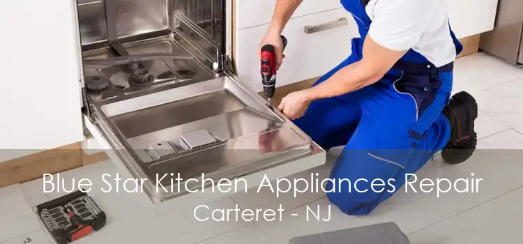 Blue Star Kitchen Appliances Repair Carteret - NJ