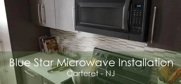 Blue Star Microwave Installation Carteret - NJ