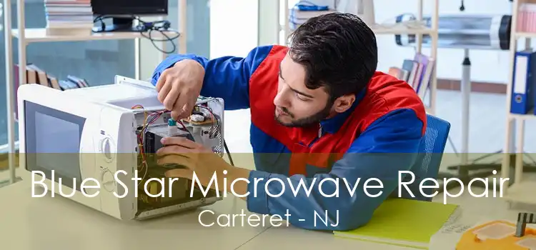 Blue Star Microwave Repair Carteret - NJ