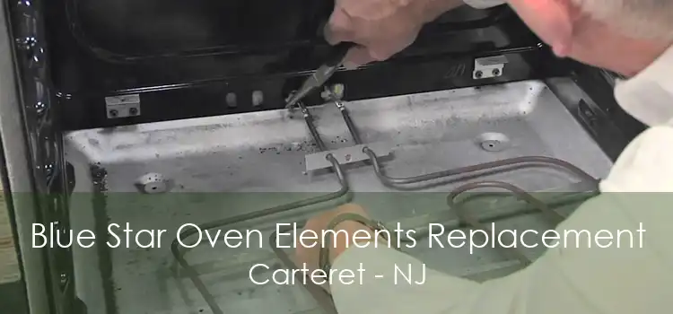 Blue Star Oven Elements Replacement Carteret - NJ