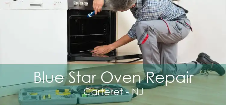 Blue Star Oven Repair Carteret - NJ