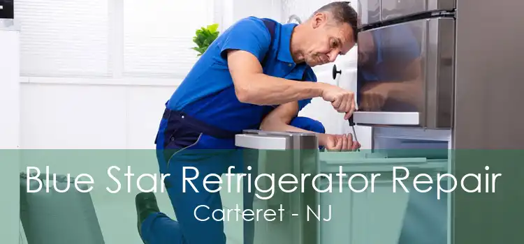 Blue Star Refrigerator Repair Carteret - NJ