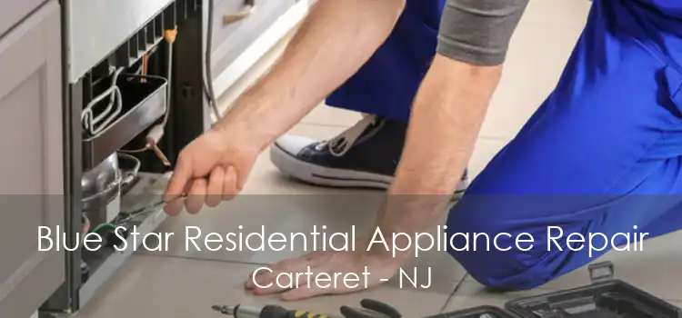 Blue Star Residential Appliance Repair Carteret - NJ