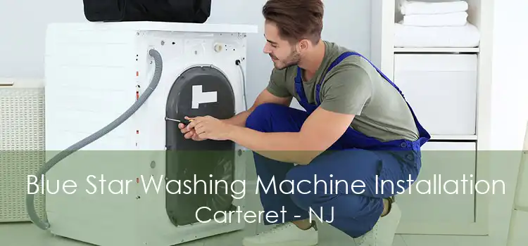Blue Star Washing Machine Installation Carteret - NJ