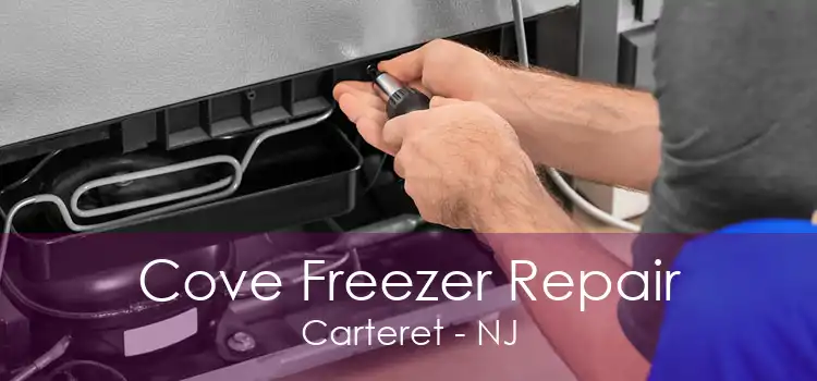 Cove Freezer Repair Carteret - NJ