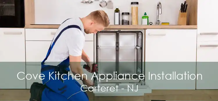 Cove Kitchen Appliance Installation Carteret - NJ