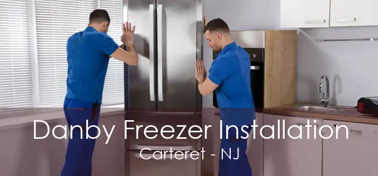 Danby Freezer Installation Carteret - NJ