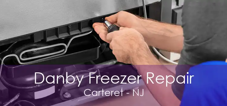 Danby Freezer Repair Carteret - NJ