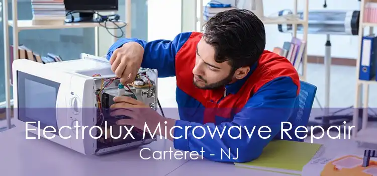 Electrolux Microwave Repair Carteret - NJ
