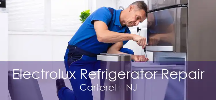 Electrolux Refrigerator Repair Carteret - NJ