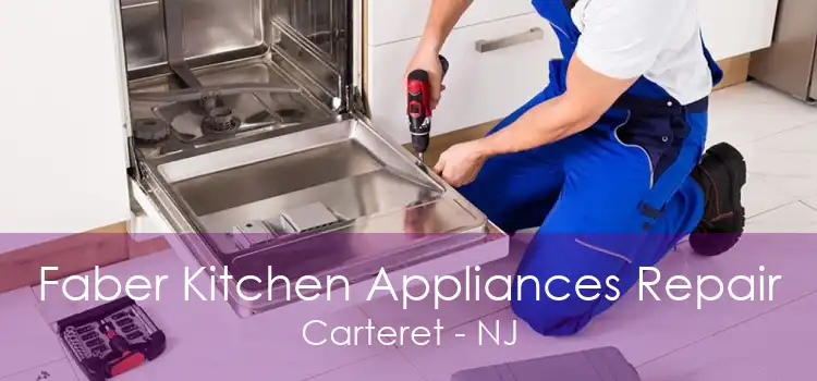 Faber Kitchen Appliances Repair Carteret - NJ