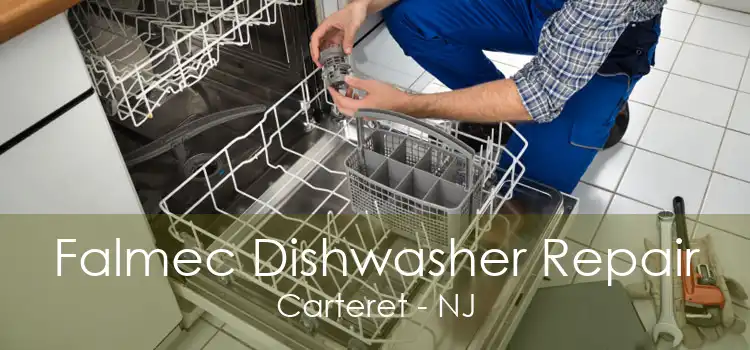 Falmec Dishwasher Repair Carteret - NJ