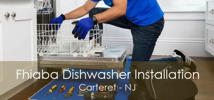 Fhiaba Dishwasher Installation Carteret - NJ