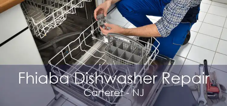 Fhiaba Dishwasher Repair Carteret - NJ