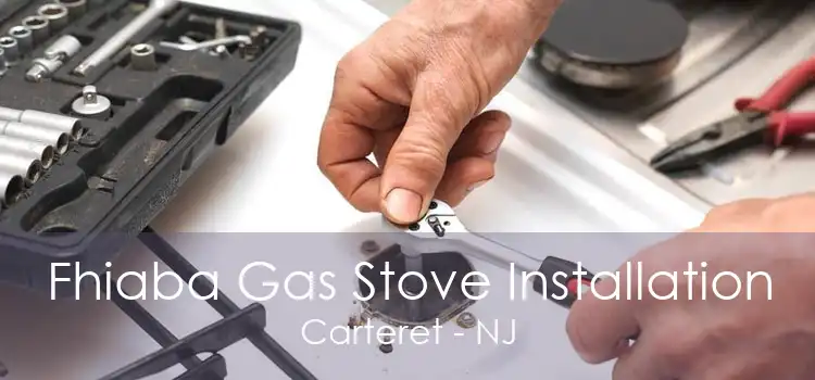 Fhiaba Gas Stove Installation Carteret - NJ