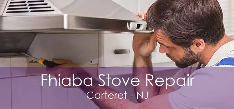 Fhiaba Stove Repair Carteret - NJ