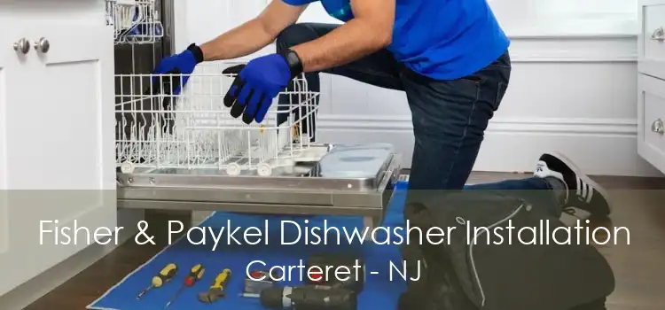 Fisher & Paykel Dishwasher Installation Carteret - NJ