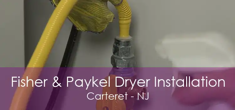 Fisher & Paykel Dryer Installation Carteret - NJ