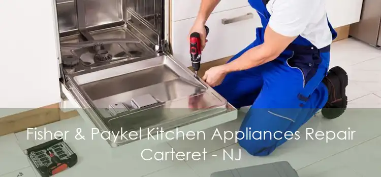 Fisher & Paykel Kitchen Appliances Repair Carteret - NJ